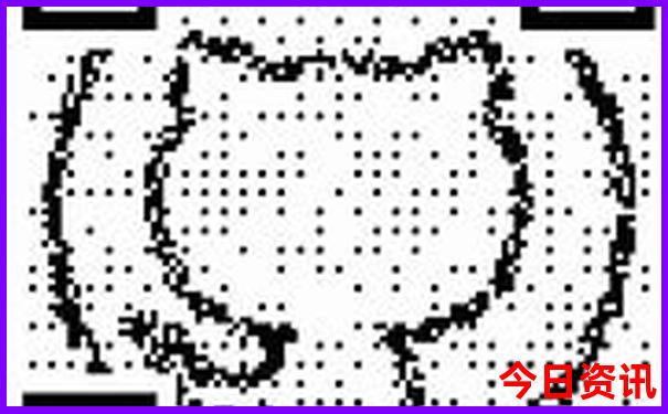 新疆8月值得去的地方
